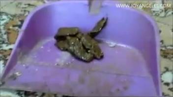 Russian chick defecating at home