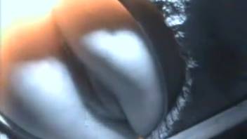 Yet another hidden camera clip from the rural bathroom