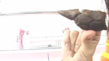 Audacious Asian chick defecates on Ferris wheel