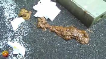Tokyo Poop Babes