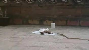 Young woman defecating on the rooftop