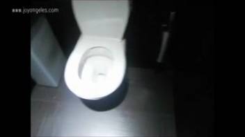 Bathroom bar and defecating chick