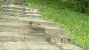 Vika urinating on the staircase