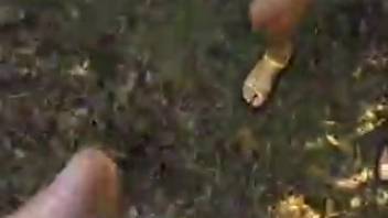 Oral sex and defecating in the forest